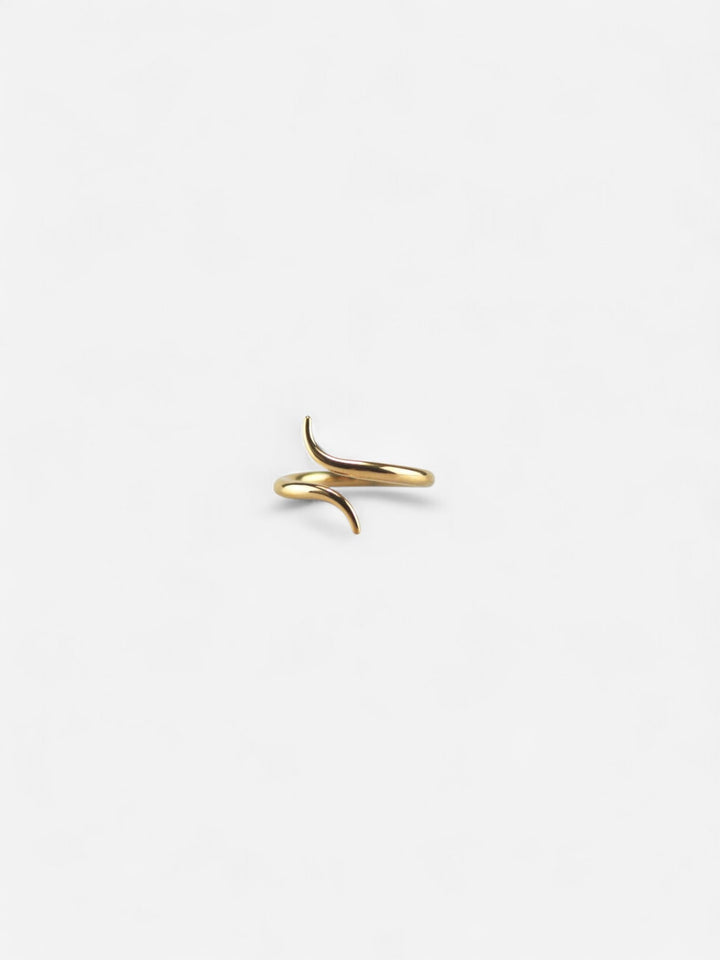 LIBRE | ANILLO ESCULTÓRICO DE LIBERTAD Y FUERZA INTERIOR